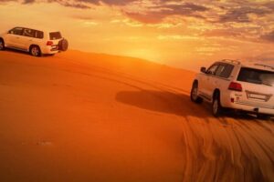 Discover where to find weekend desert safari tours in Kuwait. Explore the top tour providers, activities, prices, and tips for planning the perfect desert adventure in 2026.