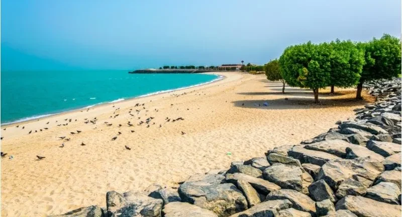 Hidden gems in Kuwait include quiet, lesser-known beaches, old traditional souqs, small local cafeterias with exceptional food, peaceful walking spots, and cultural centers that many people pass by without visiting.